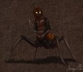 Multitask by Anuqa