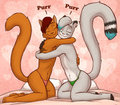 Cute Cats by kostos