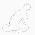 Anatomical Study