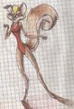 Ardilla