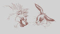 Daily sketch 050