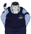 Japan Police
