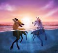 Hawaiian Sunset by LostWolfSpirit