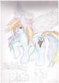 Rainbow Dash by shadowbabygirl92