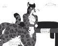 Trampoline accident 2/2 - Commission 