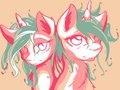 Doubleash