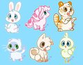 Fluffpets 2014