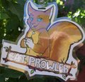 My Favorite Badge