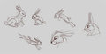 Daily sketch 052
