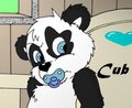 "Little Pandr" by nelson88
