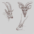 Daily sketch 054