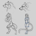 Daily sketch 055