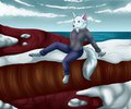 CO - The arctic fox by Eyenoom