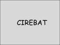 Cirebat by picklejuice