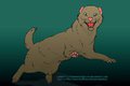Romping Weasel...
