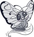 (OC) Buttershe