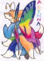 cf2009-badge 