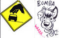 badges from ac