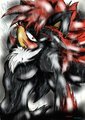 Sexy Shadow