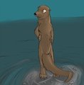 Otter