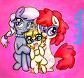 Glasses Club
