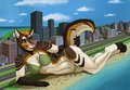 A big day at the beach