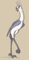 Long Leg by Tuke