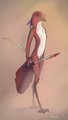 Avian Warrior