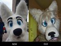 heads...new and old