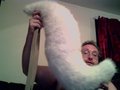 new tail!! by SajinCandour