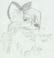Heidi - FoxyZen by FoxyZen