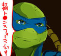 Leonardo(2k14
