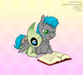 Arci and Celebi
