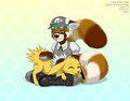 Case and Jolteon