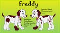 Freddy Reference Sheet