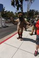 Potoo on parade