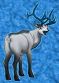 Blue Durr