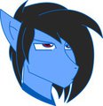 why the long face?