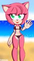 Beach Rose by sannimo