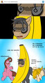 Banana is following you