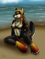 Beach Bumming by Bakari