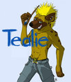 Tealie 2014 ID