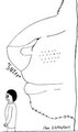 The Sniff