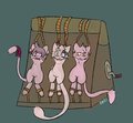 streched mews by pierogero