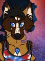Grumpy Akita by TeamMagmaGrunt