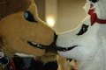 loveing nose boops