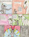 gift art for Pocketmouse by dfeyder