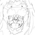 Lined Lion Jaws