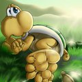 *C*_Shy koopa by Fuf