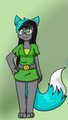 Tunic Roxy